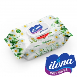 Antibacterial Wet Wipes
